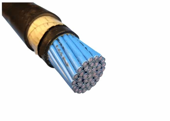 La CINA Multicores rama il cavo armato di nastro d'acciaio inguainato PVC dei cavi di controllo del conduttore 450/750V fornitore