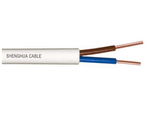 La CINA Il PVC 2.5mm2 di IEC 60227 ha isolato il cavo non inguainato del cavo elettrico fornitore