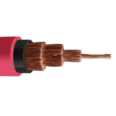 La CINA Cavo di gomma con rivestimento di 600V con isolamento in PVC e giacca in PVC fornitore