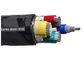 Il PVC del certificato 600/1000V di KEMA TUV ha isolato il cavo elettrico del PVC del centro dei cavi 4 fornitore