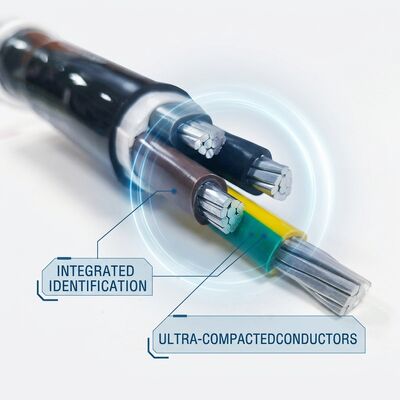 Fire Resistant PVC Insulated Power Cable 0.6/1kV 3 Core 3x25mm2 Emergency Circuit fornitore