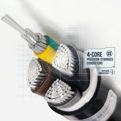 Cable isolante in PVC impermeabile e resistente all'umidità 0,6/1kV 2 Core 2x4mm2 Area umida esterna fornitore
