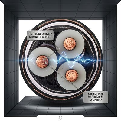 Cavo armato con doppio nastro d'acciaio isolato XLPE, durata di servizio 40 anni, 0,6/1kV fornitore